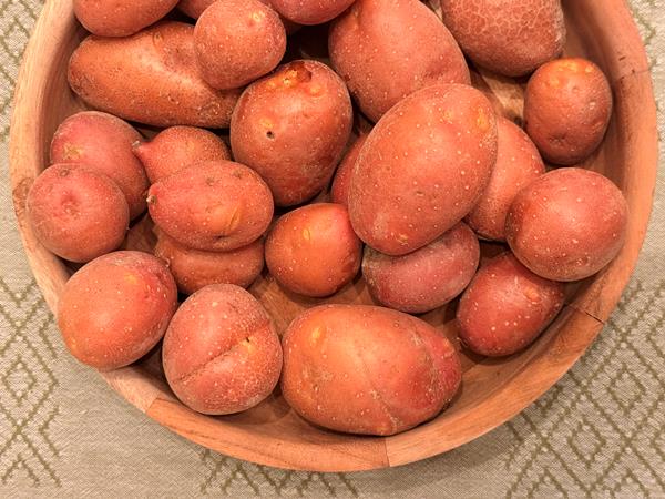 Batata Laura – Casca Vermelha