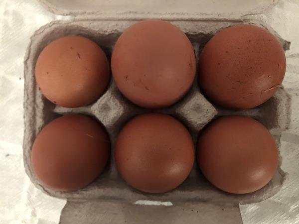 Ovos de Galinha Caseiros
