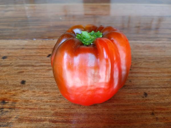 Pimento vermelho e verde
