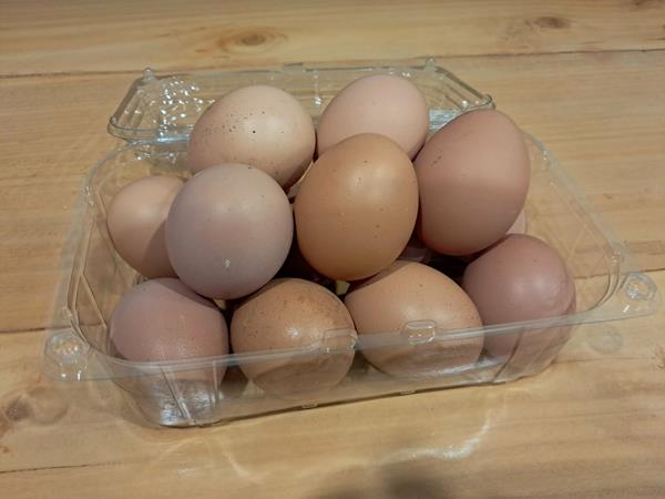 Ovos Biológicos