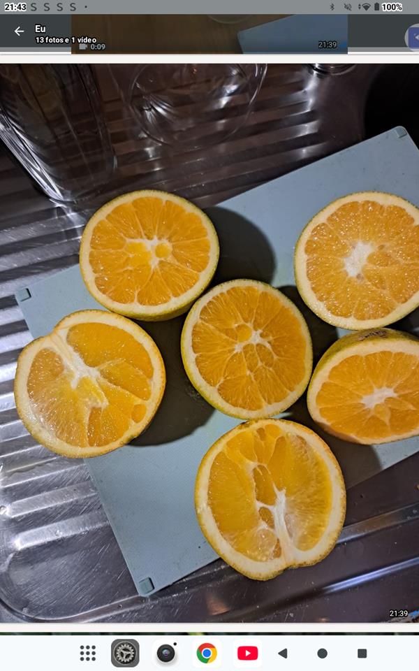Laranjas Frescas da Quinta do Moinho – Gondomar