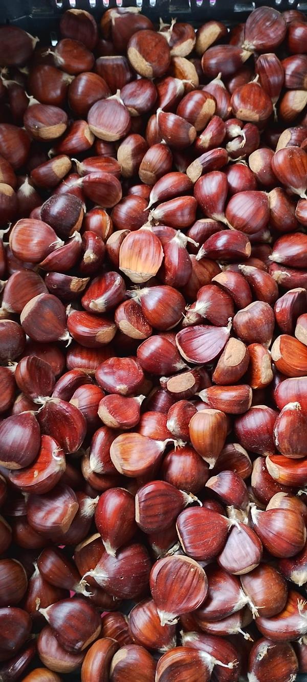 castanhas