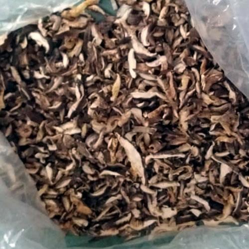 Cogumelo Shitake Desidratado Biológico 30g - BIO AZÓRICA