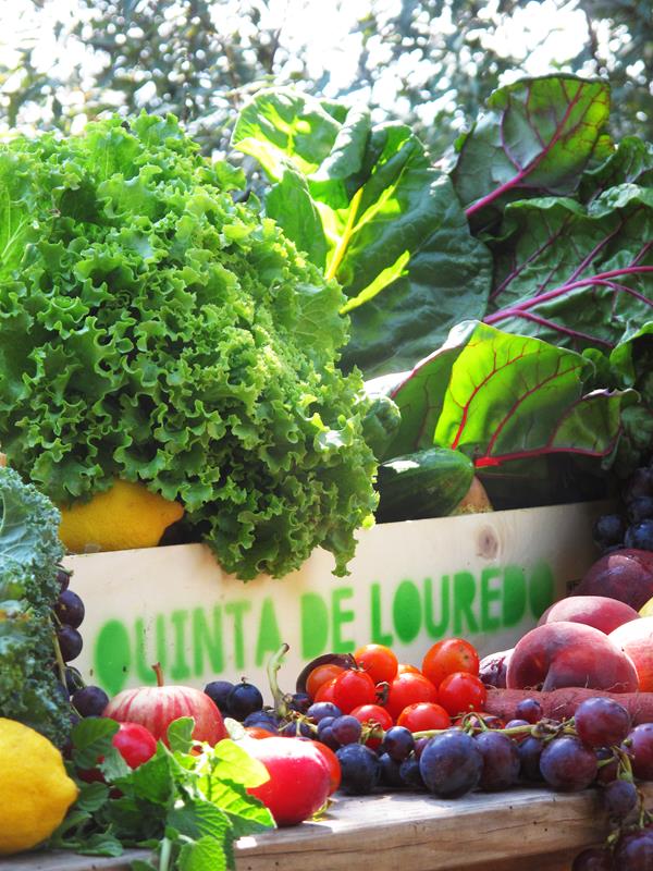 Cabaz BIO frutas e legumes O Que Houver Médio para família de 2-4 pessoas (aprox. 8 kg)