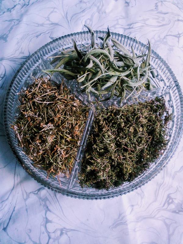 Salvia BIO - Erva Aromática, Medicinal e Condimentar