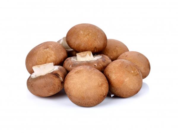 Cogumelo shiitake desidratado e laminado