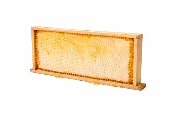 Quadro inteiro de Favo de Mel (2 kg)