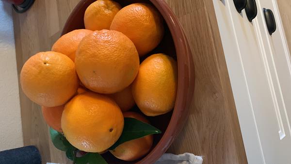 Laranjas e tangerinas