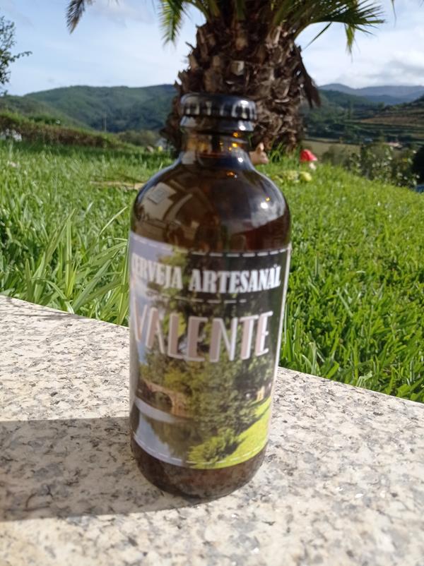 Cerveja Artesanal Valente Preço un Loja da Reforma Agrária