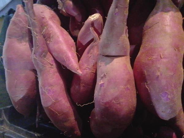 Batata Doce