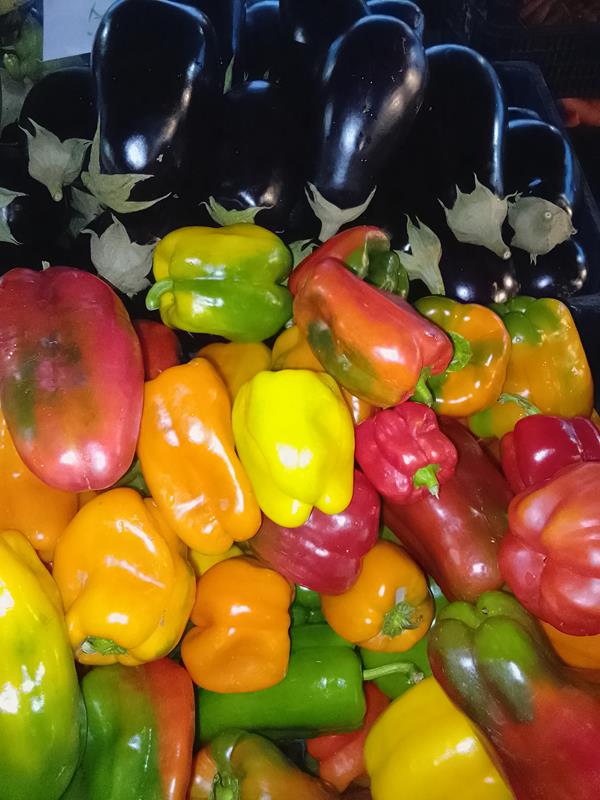 Pimentos cores variadas