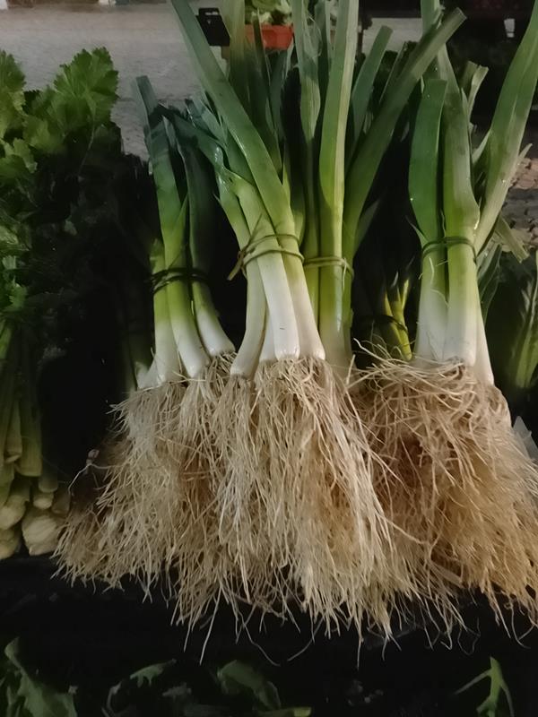 Alho Francês (molho)