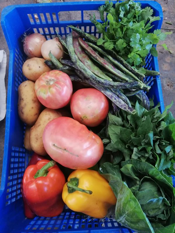 Cabaz  Sazonal de aromáticas e hortícolas