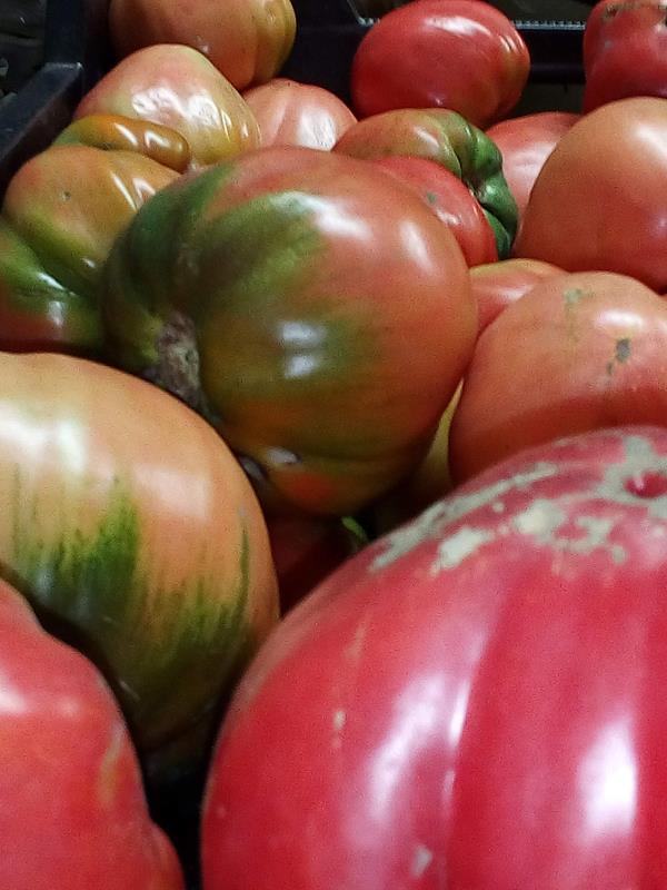Tomate Coração