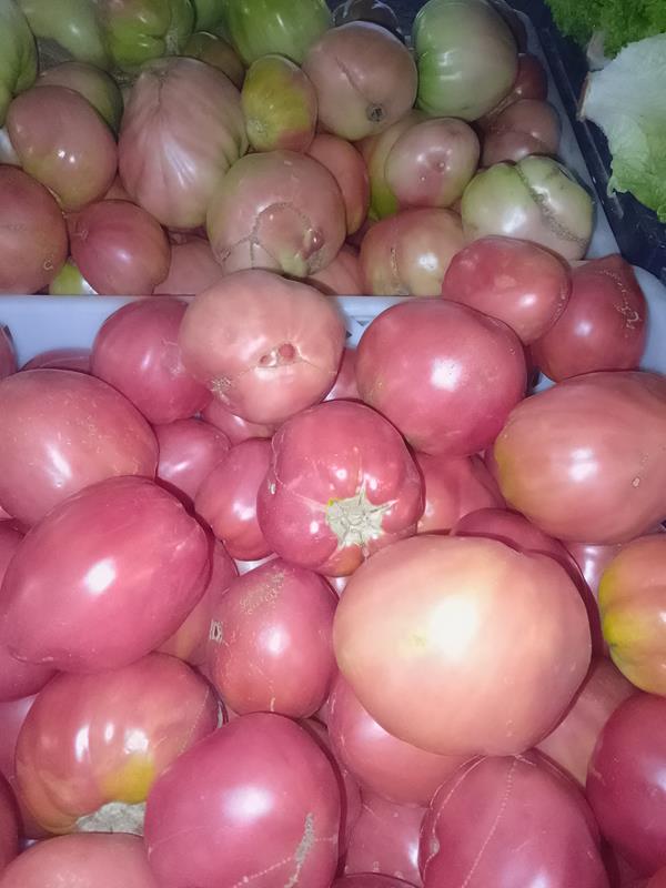 Tomate Coração