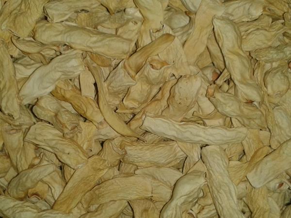 Casulas cascas vasas de feijão c/ Portes (2025) - 500g