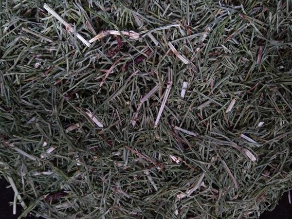 Infusão Erva Cavalinha (Equisetum Arvense)
