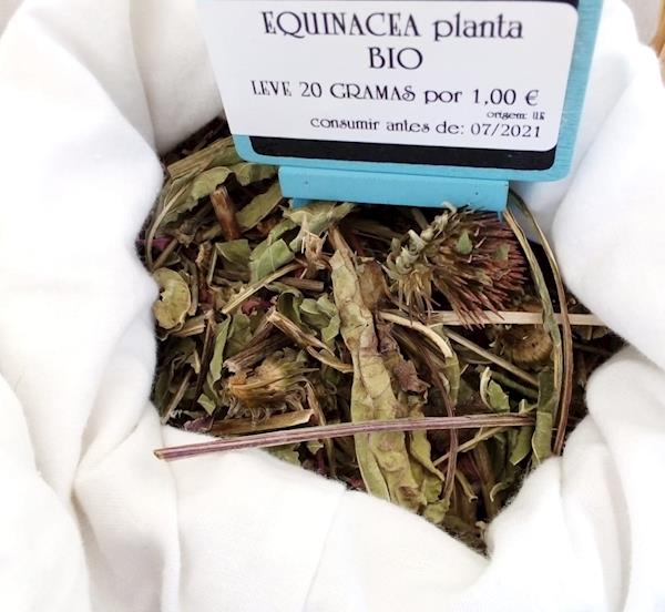 Equinácea Planta Bio - Venda a granel