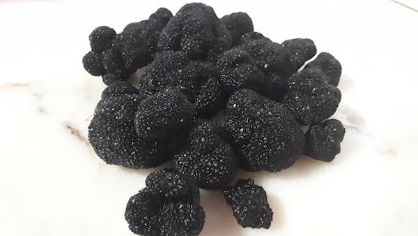 Trufa Negra de Verão - Tuber Uncinatum, Preço: 500,00 €/kg - Loja da ...