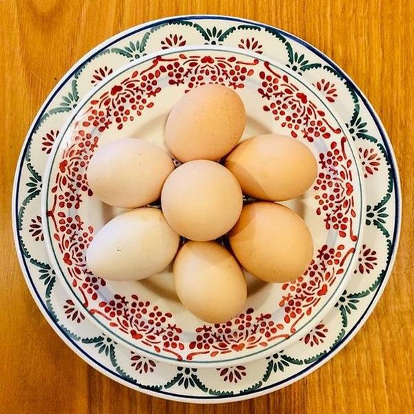 Ovos de galinhas de ar livre