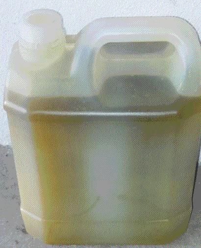 Azeite Caseiro Virgem - acidez 0,2 - Garrafão de 5L