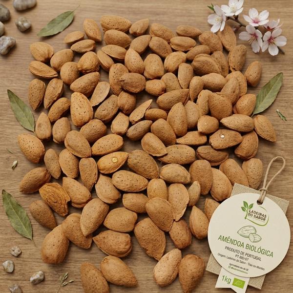 Amêndoa moderna com casca (saco 10kg)