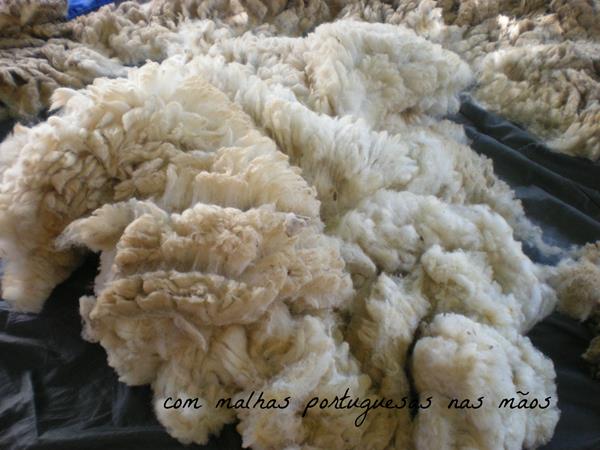 Lã de ovelha merina