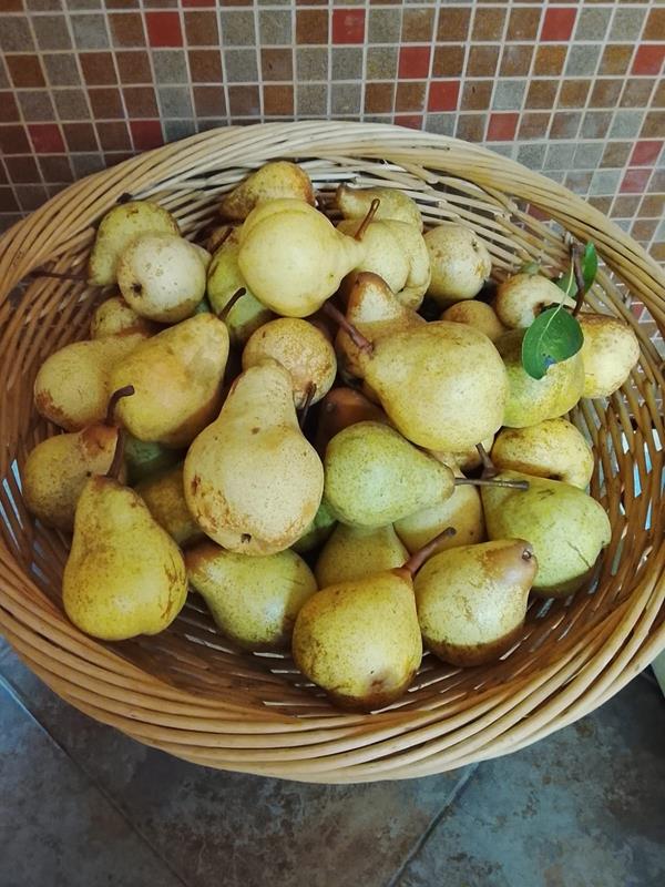 Pêra