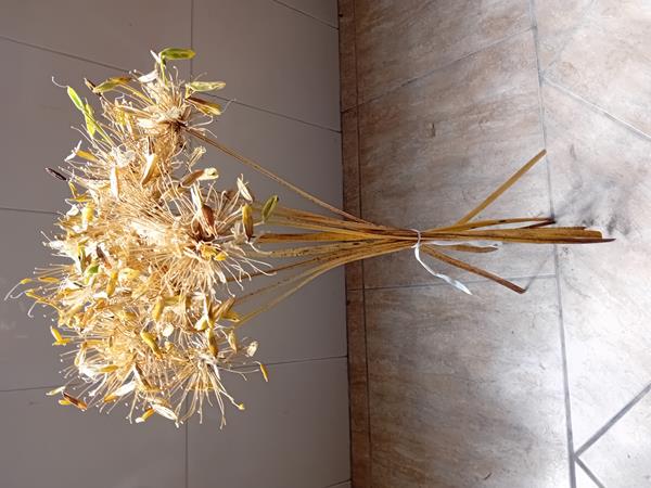 Ramos de flores secas caule longo