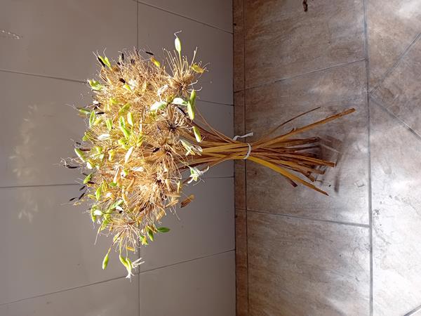 Ramos de flores secas caule longo