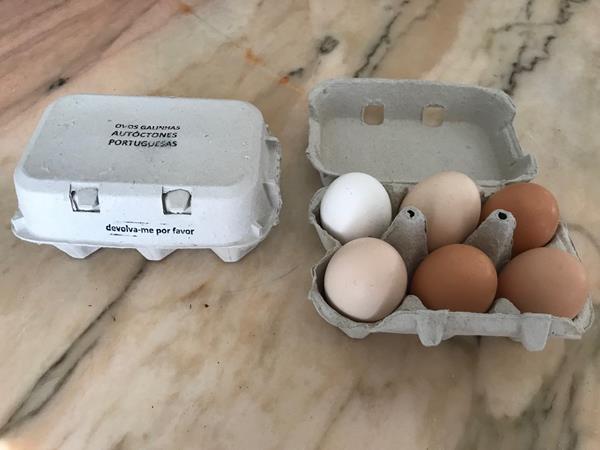 Ovos BIO de galinhas autóctones portuguesas criadas ao ar livre segundo os princípios da agricultura biológica