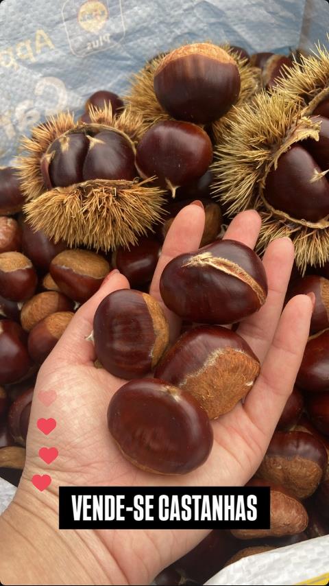 Castanhas