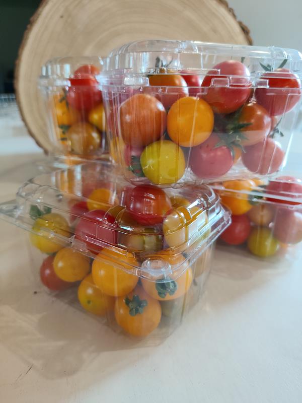 Tomate cherry