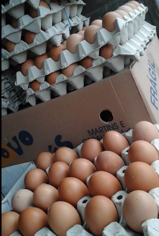 Ovos certificados, criação extensiva - slow food