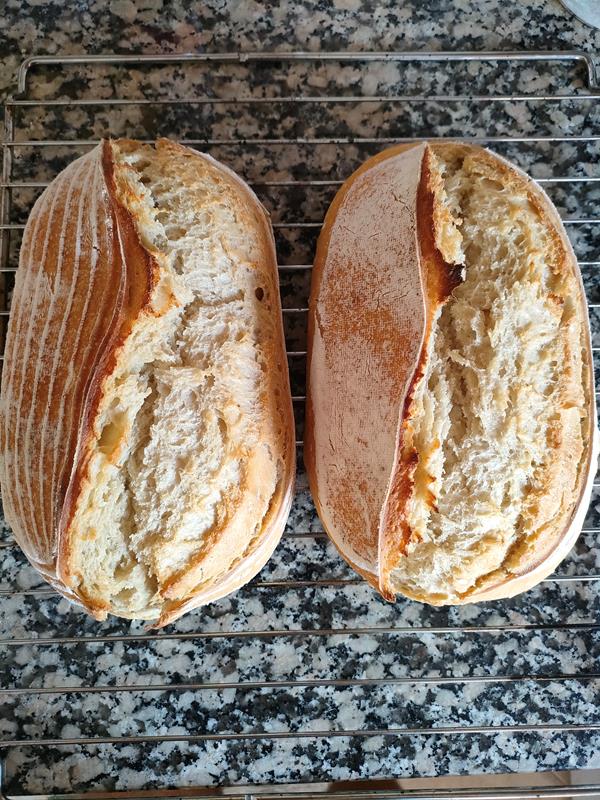 Pão de trigo ou mistura com centeio -massa mãe e fermentação longa - 600g