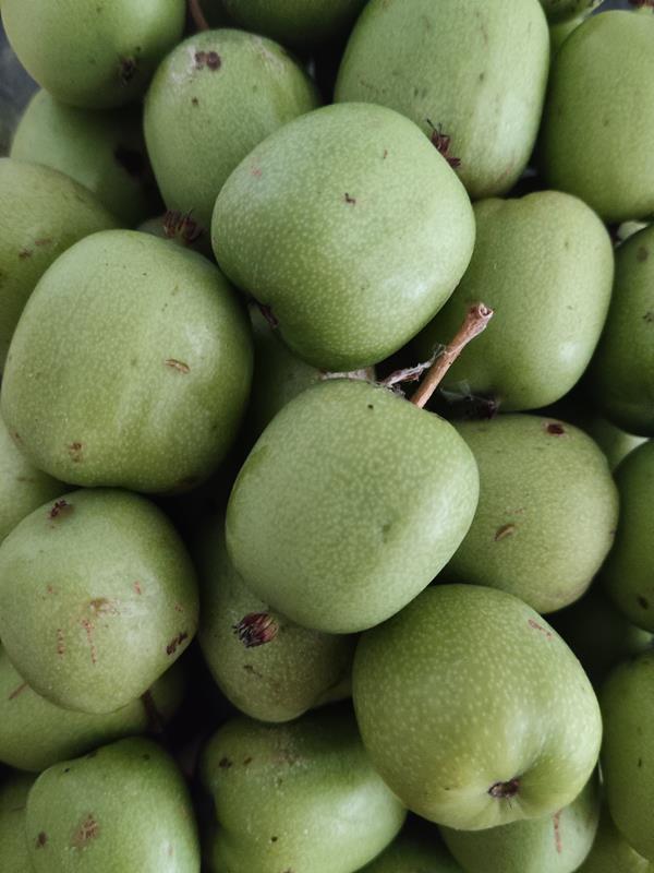 Kiwi baby Bio