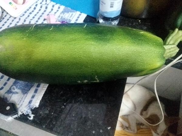 Courgette