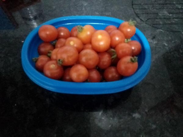 Tomate cherry - 250g