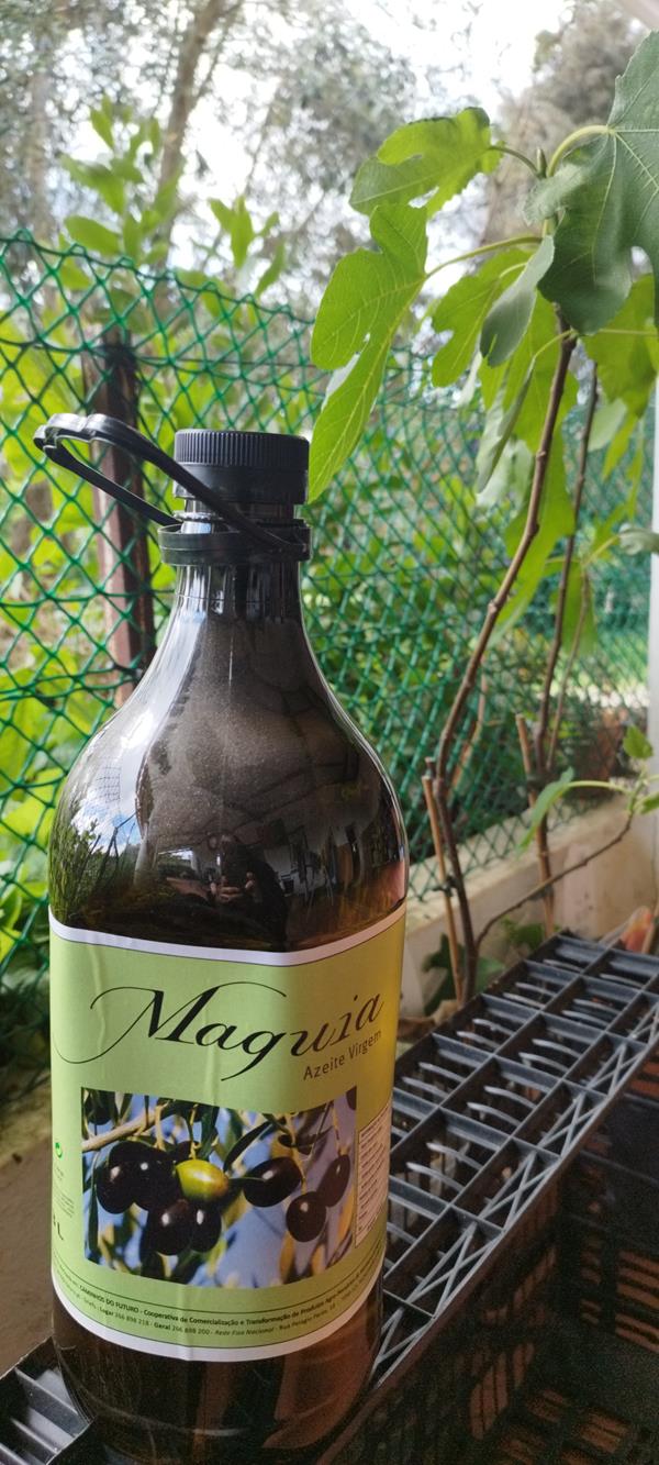 Azeite de Montemor Maquia