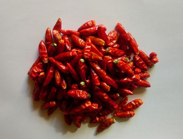 Piri piri Seco Ecológico