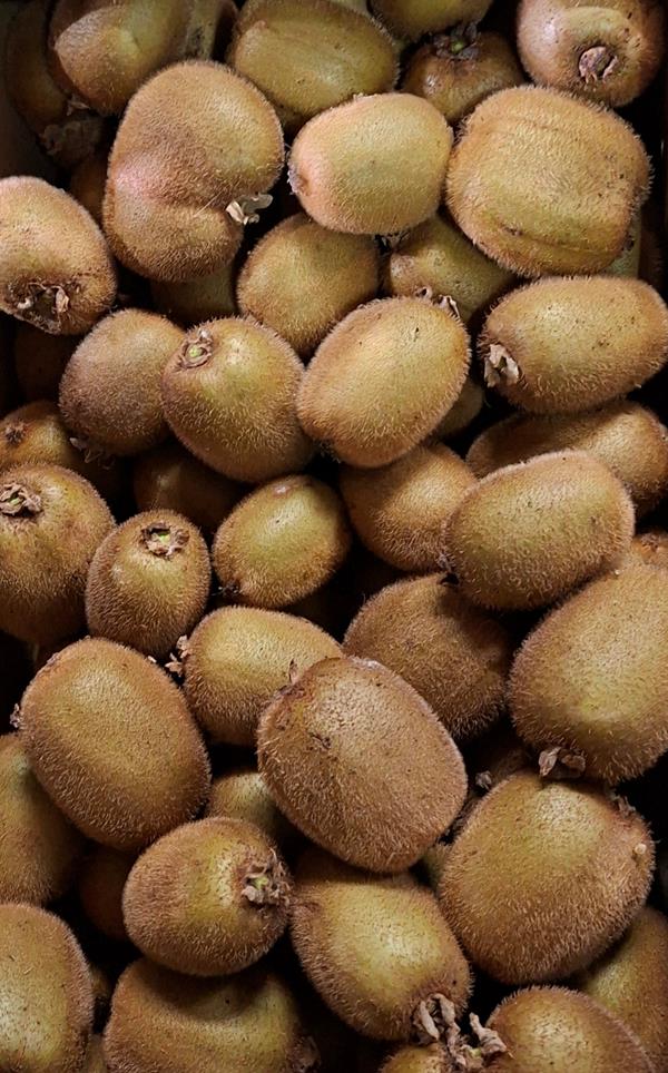 Kiwi