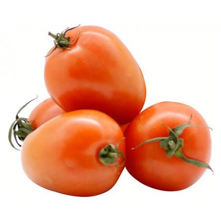 Tomate Chucha