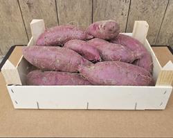 Batata Doce Roxa