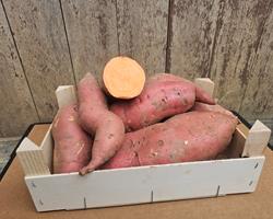 Batata Doce Laranja
