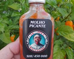 SO PARA MALUCOS - Molho Picante