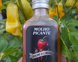 QUEIME A LINGUA - Molho Picante