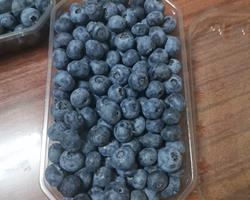 Mirtilos
