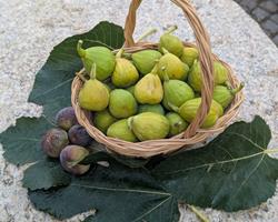 Figos