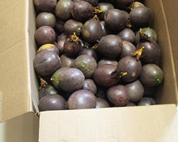 Maracuja