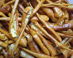 Pimenta Cayenne Laranja Bio - 50g